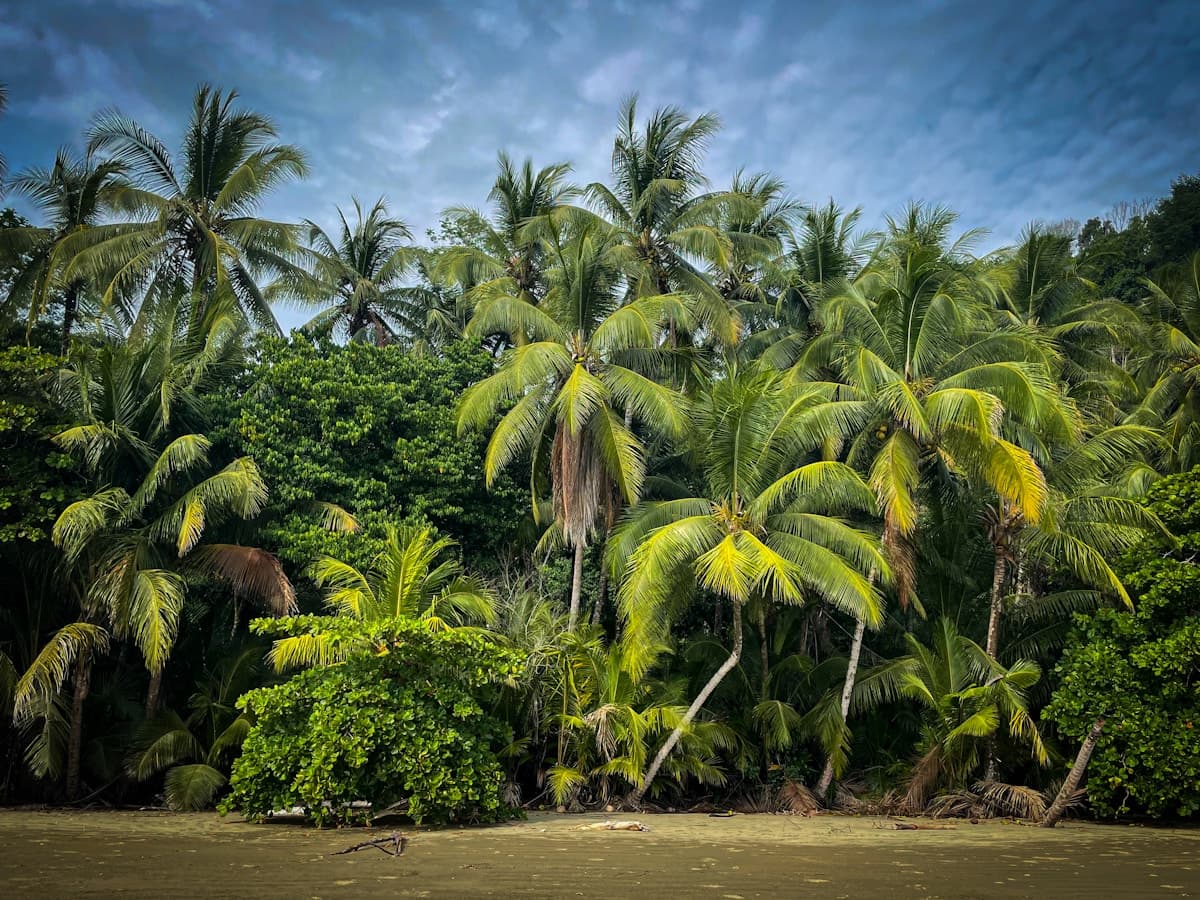 35 best things to do in Tamarindo, Costa Rica (2026 local's guide)